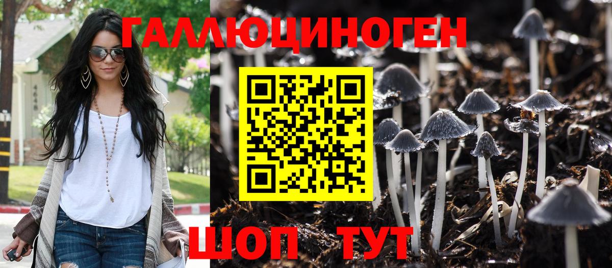 Псилоцибиновые грибы Cubensis  Вход с VPN  Ишимбай 
